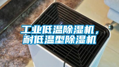 工業(yè)低溫除濕機，耐低溫型除濕機