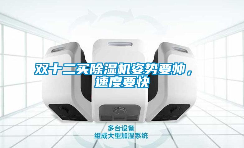 雙十二買除濕機姿勢要帥， 速度要快