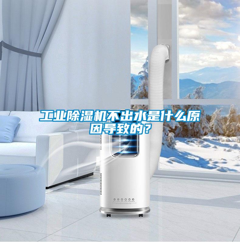 工業(yè)除濕機不出水是什么原因導致的？