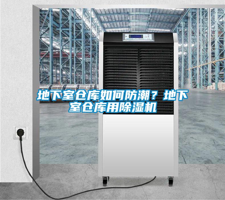 地下室倉庫如何防潮？地下室倉庫用除濕機(jī)