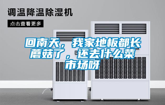 回南天，我家地板都長蘑菇了，還去什么菜市場呀