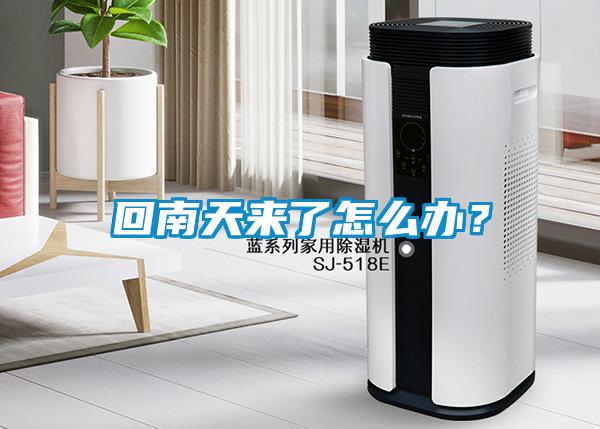 回南天來(lái)了怎么辦？