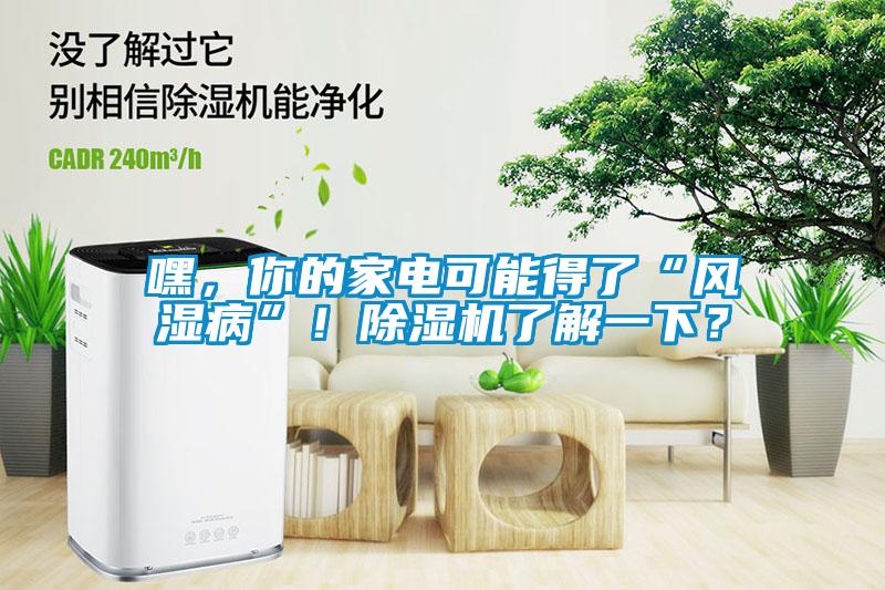 嘿，你的家電可能得了“風(fēng)濕病”！除濕機(jī)了解一下？