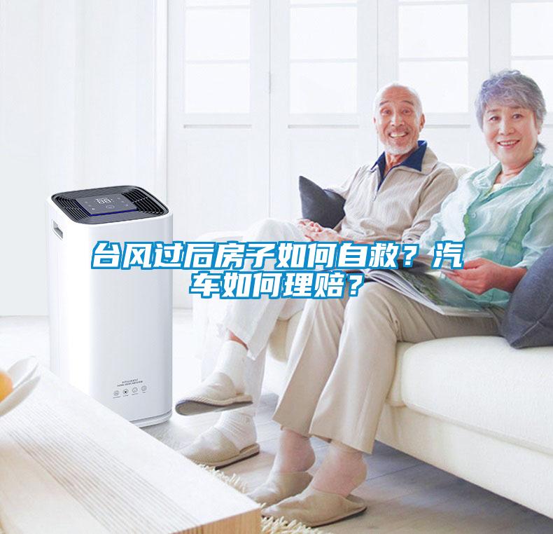 臺風過后房子如何自救？汽車如何理賠？