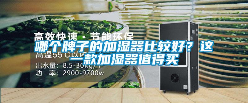 哪個(gè)牌子的加濕器比較好？這一款加濕器值得買