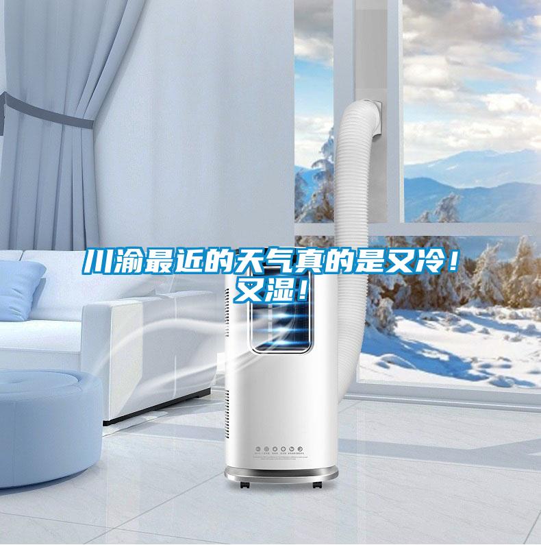 川渝最近的天氣真的是又冷！又濕！