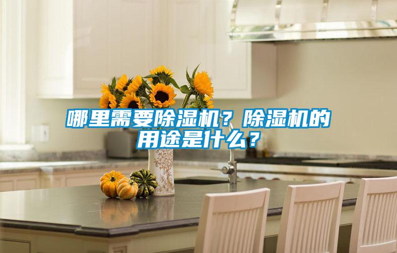 哪里需要除濕機(jī)？除濕機(jī)的用途是什么？