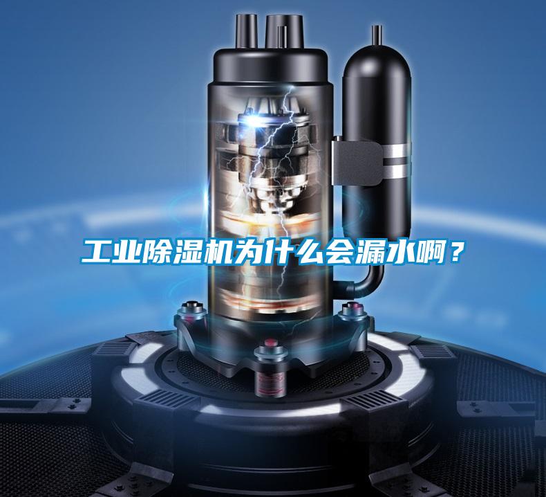 工業(yè)除濕機(jī)為什么會(huì)漏水??？