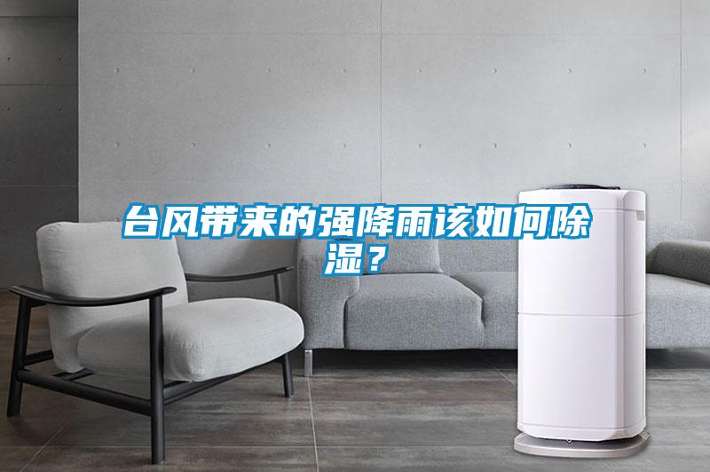 臺風(fēng)帶來的強(qiáng)降雨該如何除濕？