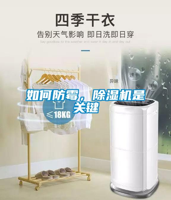 如何防霉,除濕機(jī)是關(guān)鍵