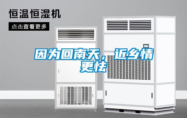 因為回南天，近鄉(xiāng)情更怯