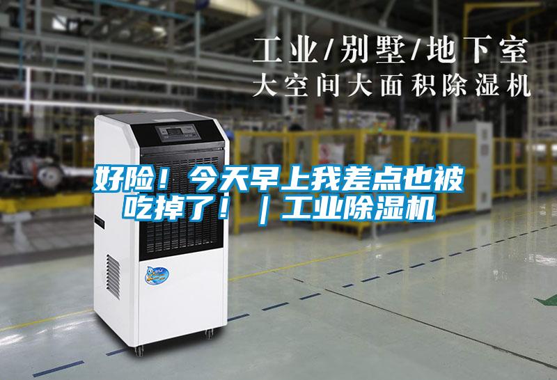 好險(xiǎn)！今天早上我差點(diǎn)也被吃掉了！｜工業(yè)除濕機(jī)