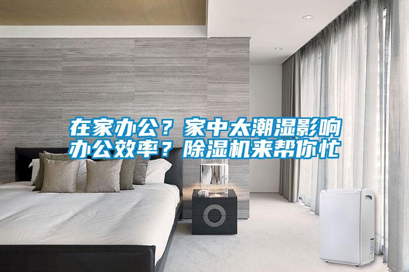 在家辦公？家中太潮濕影響辦公效率？除濕機(jī)來(lái)幫你忙