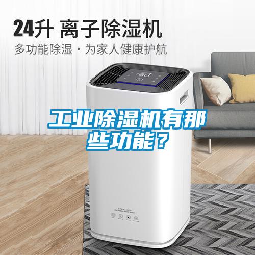工業(yè)除濕機(jī)有那些功能？