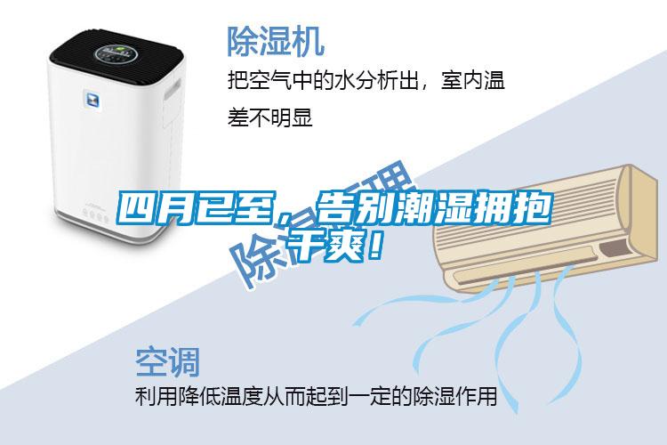 四月已至，告別潮濕擁抱干爽！
