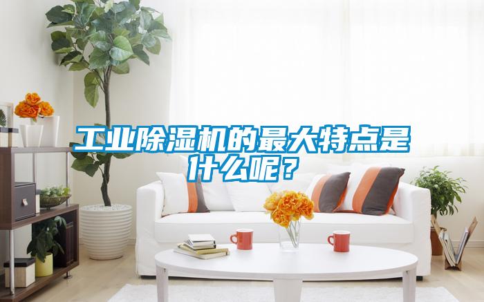 工業(yè)除濕機的最大特點是什么呢？