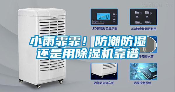 小雨霏霏！防潮防濕還是用除濕機(jī)靠譜