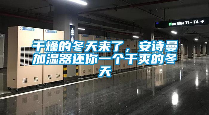 干燥的冬天來了，安詩曼加濕器還你一個干爽的冬天