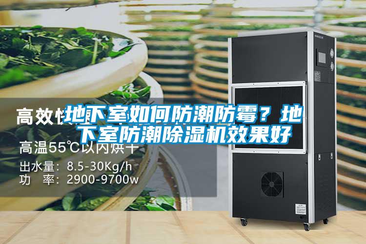 地下室如何防潮防霉？地下室防潮除濕機(jī)效果好