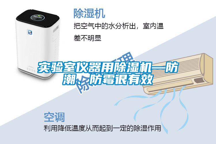 實(shí)驗(yàn)室儀器用除濕機(jī)—防潮、防霉很有效
