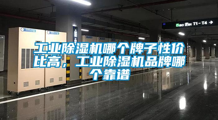 工業(yè)除濕機(jī)哪個牌子性價比高，工業(yè)除濕機(jī)品牌哪個靠譜