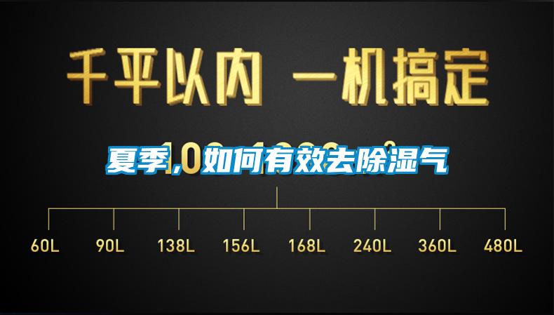 夏季，如何有效去除濕氣