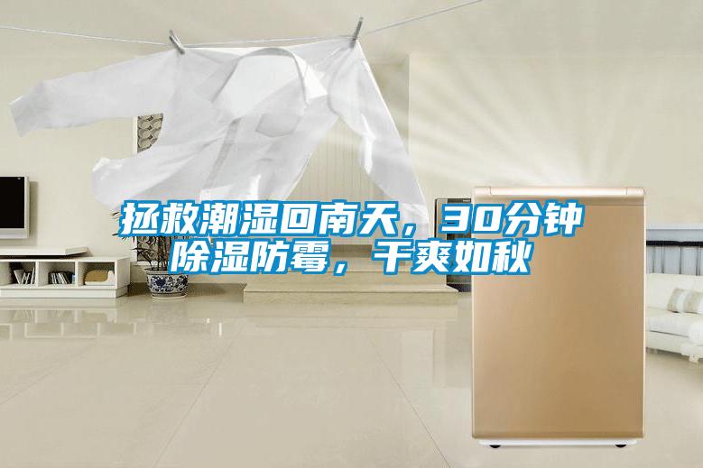 拯救潮濕回南天，30分鐘除濕防霉，干爽如秋