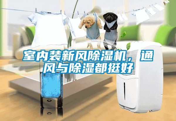 室內裝新風除濕機，通風與除濕都挺好