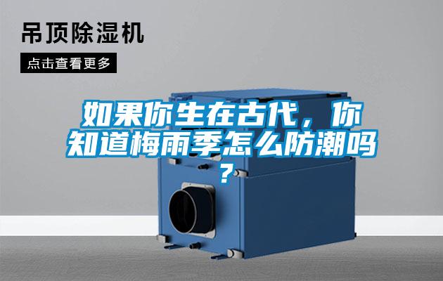 如果你生在古代，你知道梅雨季怎么防潮嗎？