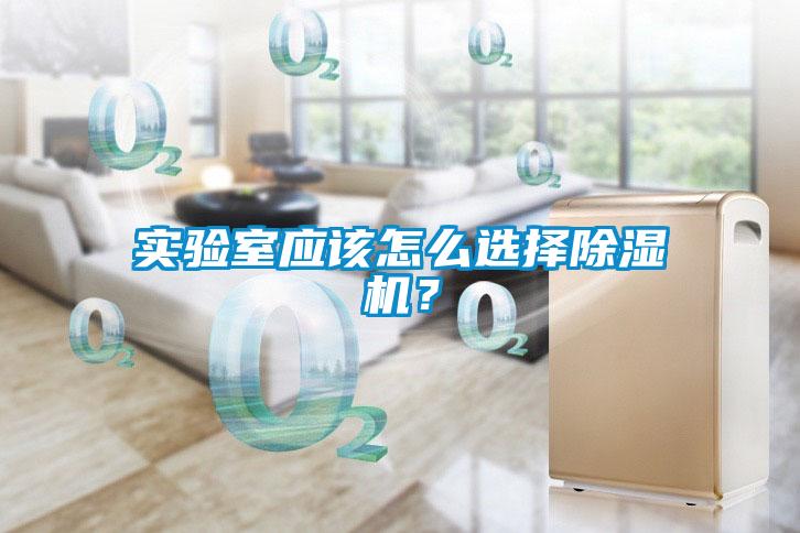 實驗室應(yīng)該怎么選擇除濕機？