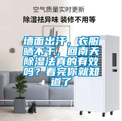 墻面出汗，衣服曬不干，回南天除濕法真的有效嗎？看完你就知道了