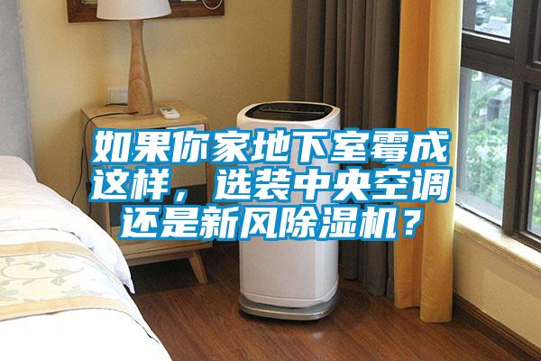 如果你家地下室霉成這樣，選裝中央空調(diào)還是新風(fēng)除濕機？