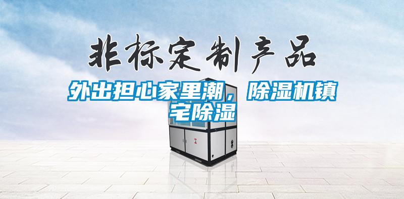 外出擔心家里潮，除濕機鎮宅除濕
