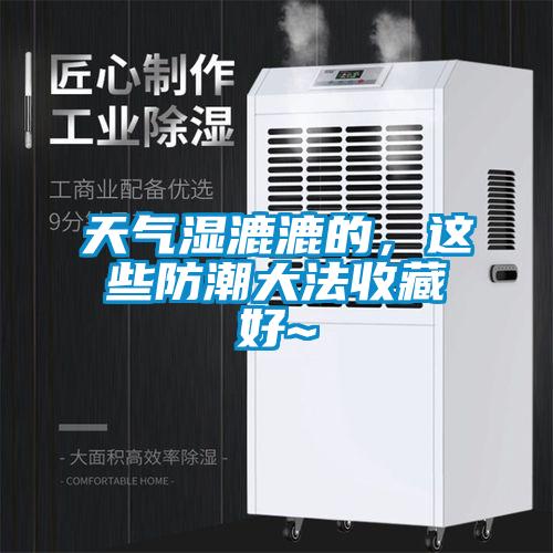天氣濕漉漉的，這些防潮大法收藏好~