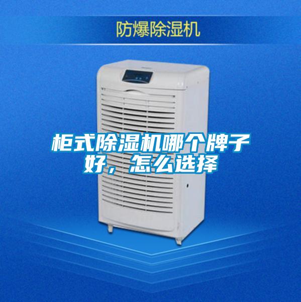 柜式除濕機哪個牌子好，怎么選擇
