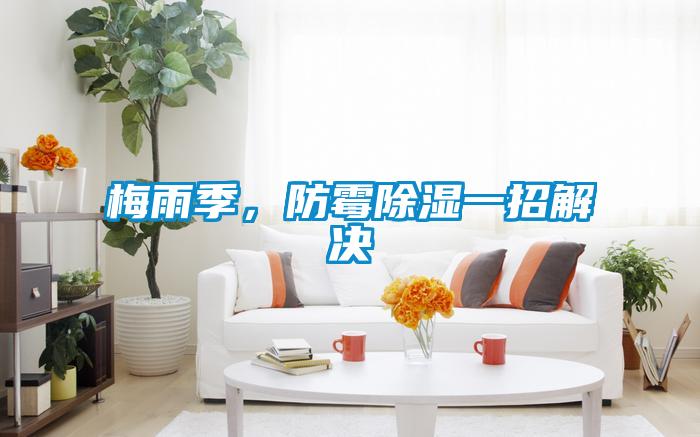 梅雨季，防霉除濕一招解決