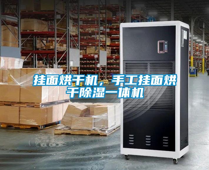掛面烘干機，手工掛面烘干除濕一體機