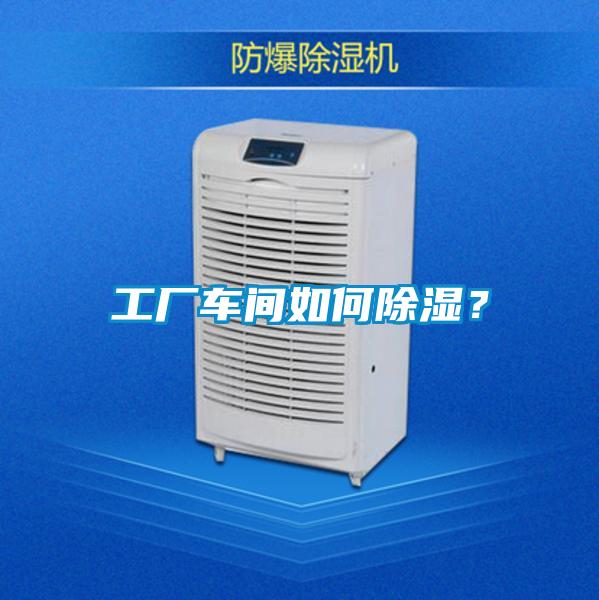 工廠車間如何除濕？