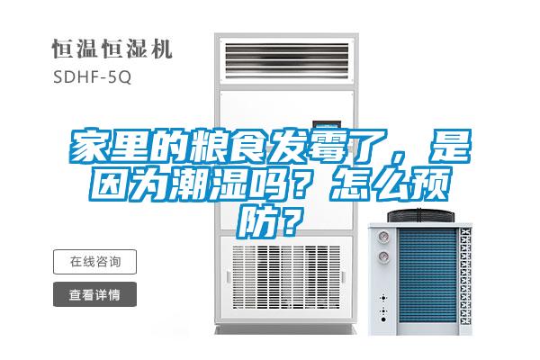 家里的糧食發(fā)霉了，是因?yàn)槌睗駟幔吭趺搭A(yù)防？