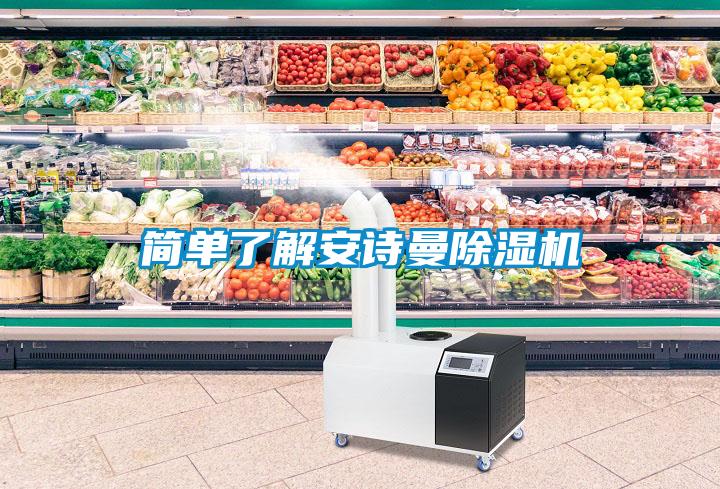 簡(jiǎn)單了解安詩曼除濕機(jī)