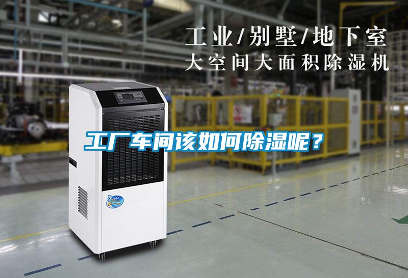 工廠車間該如何除濕呢？