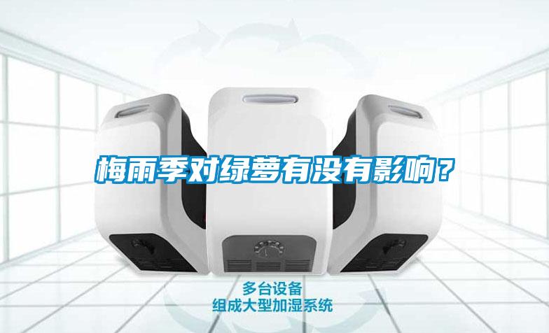 梅雨季對綠蘿有沒有影響？
