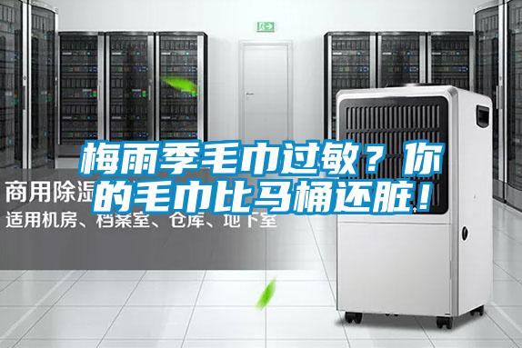 梅雨季毛巾過(guò)敏？你的毛巾比馬桶還臟！