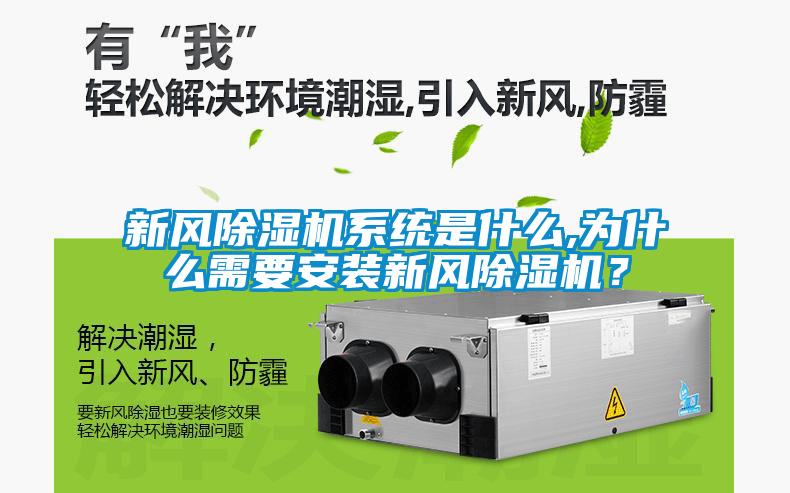 新風除濕機系統(tǒng)是什么,為什么需要安裝新風除濕機？