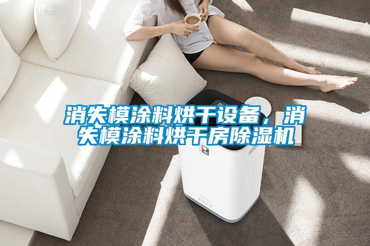 消失模涂料烘干設(shè)備，消失模涂料烘干房除濕機(jī)