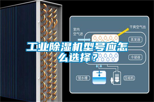 工業(yè)除濕機型號應怎么選擇？