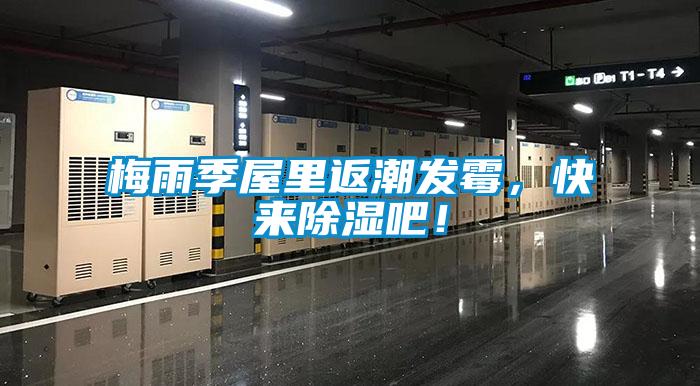 梅雨季屋里返潮發(fā)霉，快來除濕吧！