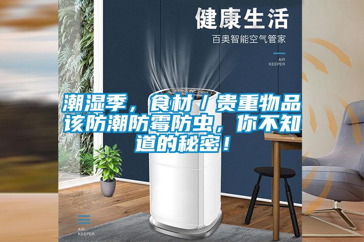 潮濕季，食材／貴重物品該防潮防霉防蟲，你不知道的秘密！