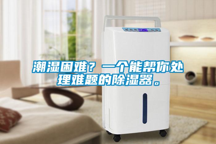 潮濕困難？一個能幫你處理難題的除濕器。