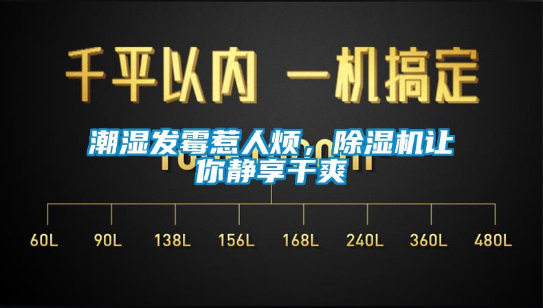 潮濕發(fā)霉惹人煩，除濕機(jī)讓你靜享干爽